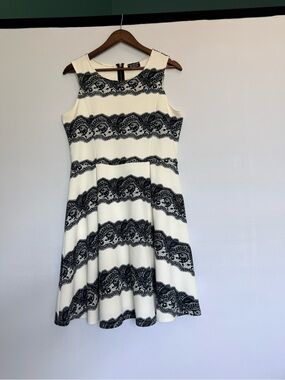 Stitch fix Cream and Black Lace-Stripe Fit & Flare Mini Dress